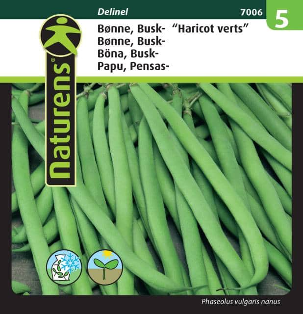 buskbna-haricot-vert-delinel-fr-1