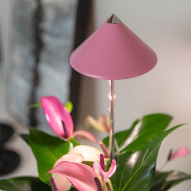 sunlite-vxtlampa-rosa---7w-1
