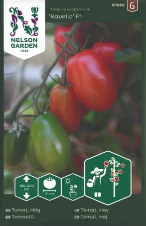 san-marzano-tomat-ravello-f1-1