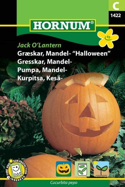 mandelpumpa-jack-olantern-1