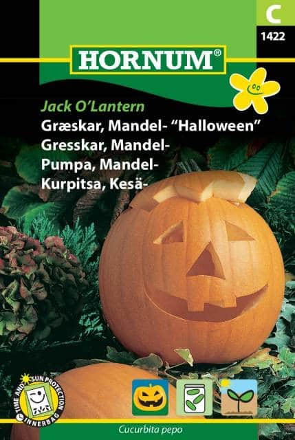 mandelpumpa-jack-olantern-fr-1