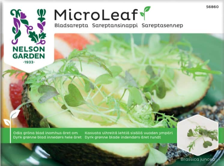 micro-leaf-bladsarepta-1