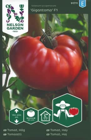 bifftomat-xxl-gigantomo-f1-1