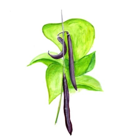 brytbna-purple-teepee-1