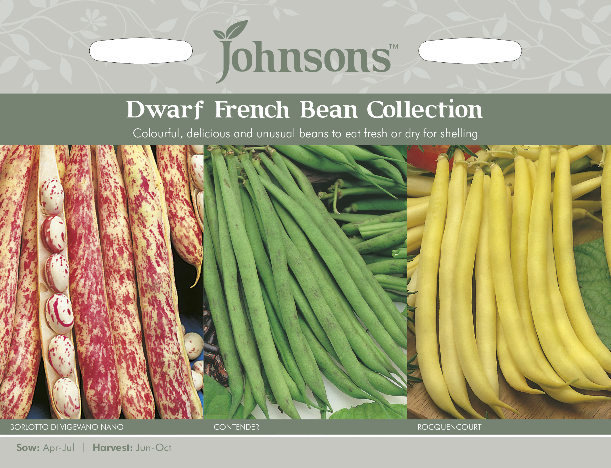 Brytböna ’Dwarf French Bean Collection’ 3 sorter
