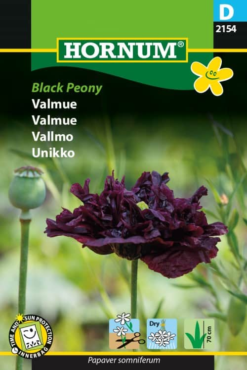 pionvallmo-black-peony-1