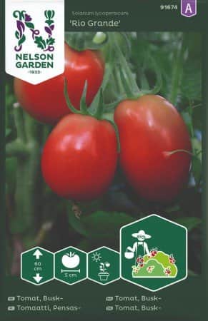 plommontomat-rio-grande-1
