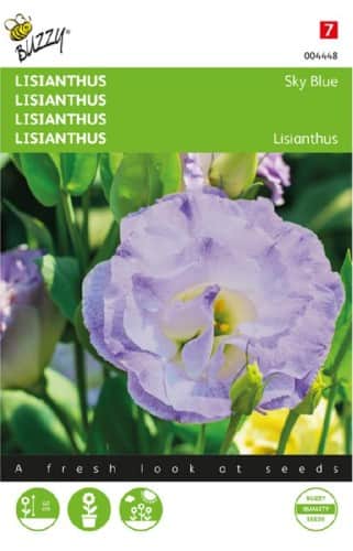 prrieklocka-sky-blue-1