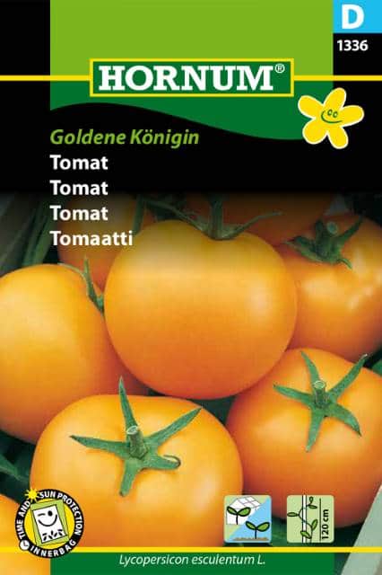 tomat-goldene-knigin-fr-1