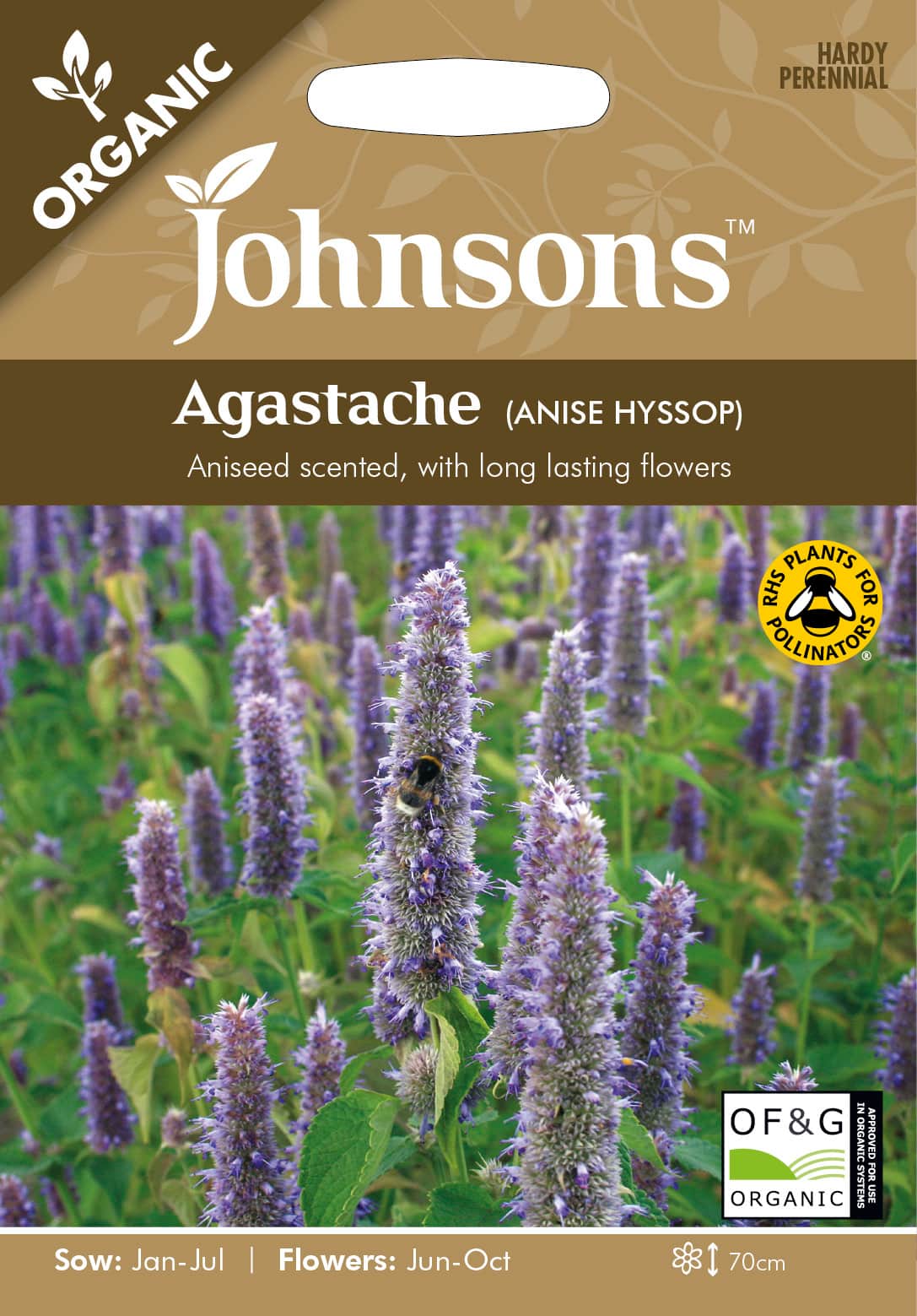 anisisop-anise-hyssop-organic-1