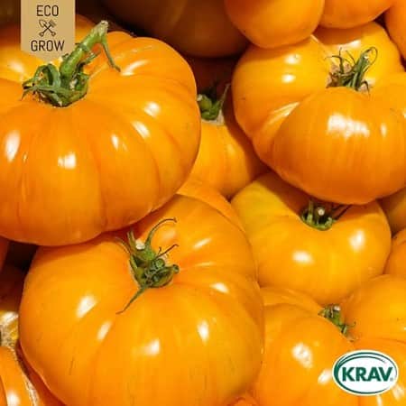 busktomat-yellow-donut-krav-mrkt-1