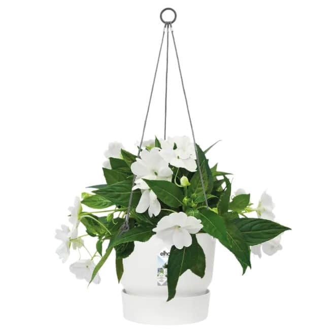 greenville-hanging-basket-24cm---white-3
