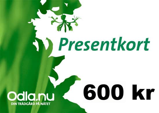 presentkort-600-1