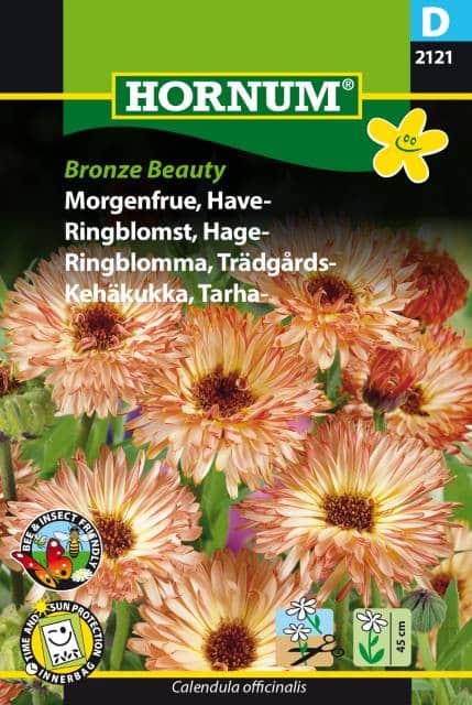 ringblomma-bronze-beauty-1