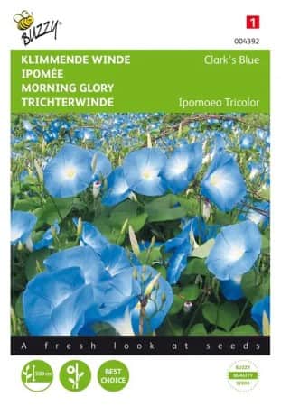 blomman-fr-dagen-clarks-blue-1