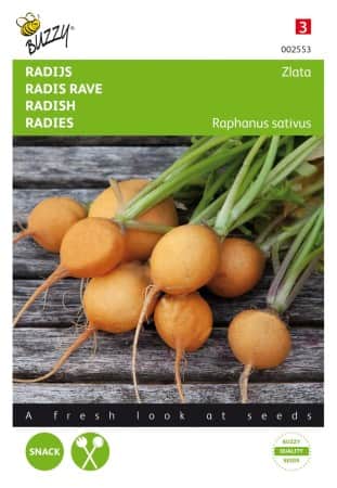 rdisa-zlata-yellow-round-1