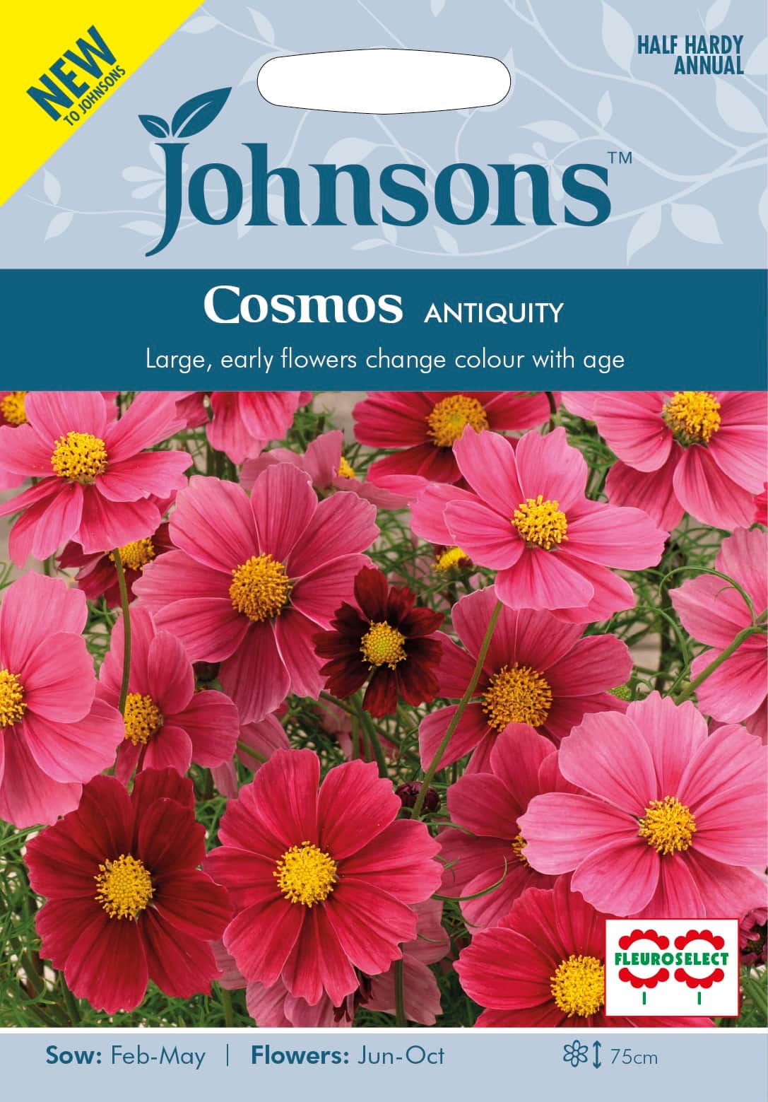 rosenskra-antiquity-1