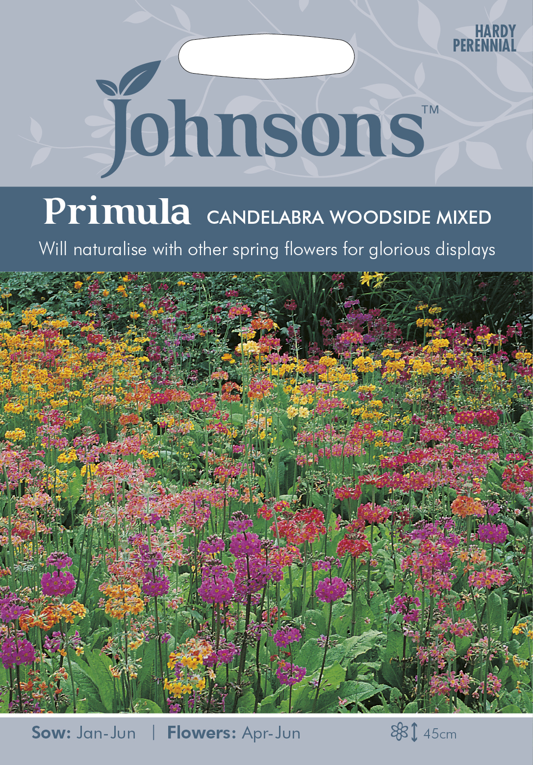 Brokig kandelaberviva ’Candelabra Woodside’ mix, frö