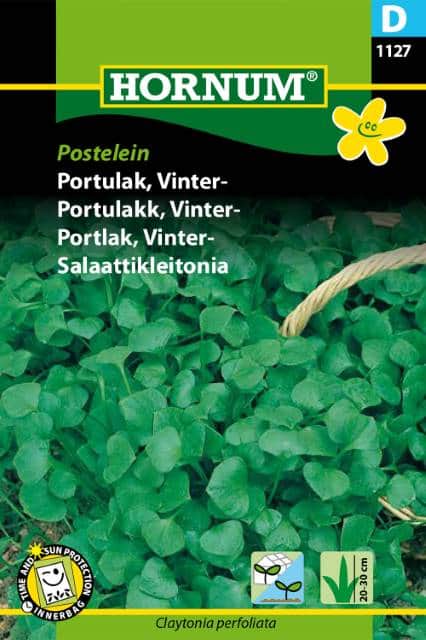 vinterportlak-postelein-1