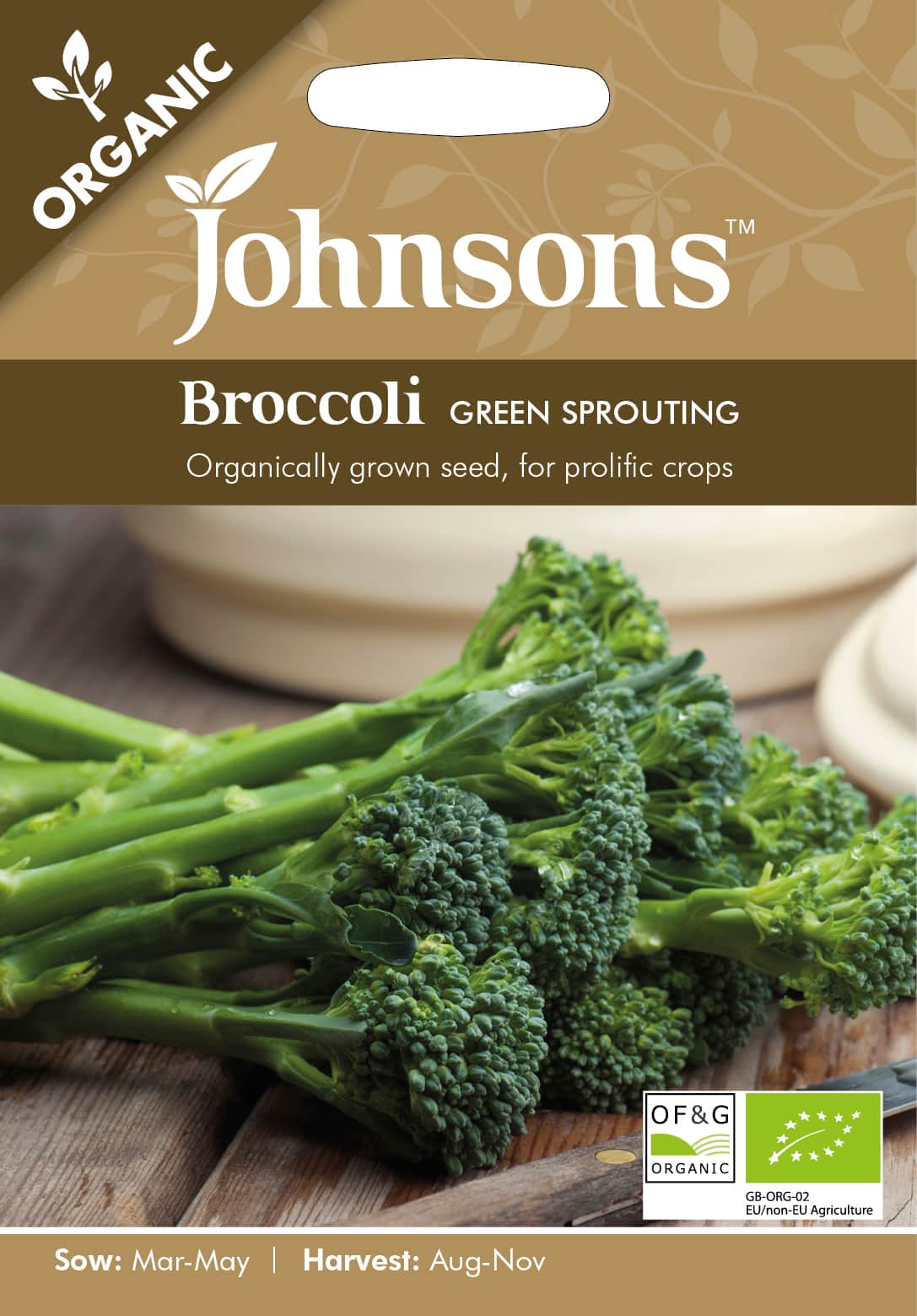 broccoli-green-sprout-organic-1