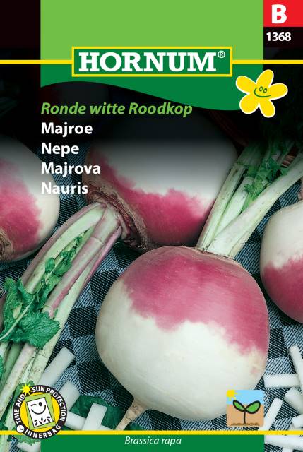 Majrova 'Ronde Witte Roodkop' frö