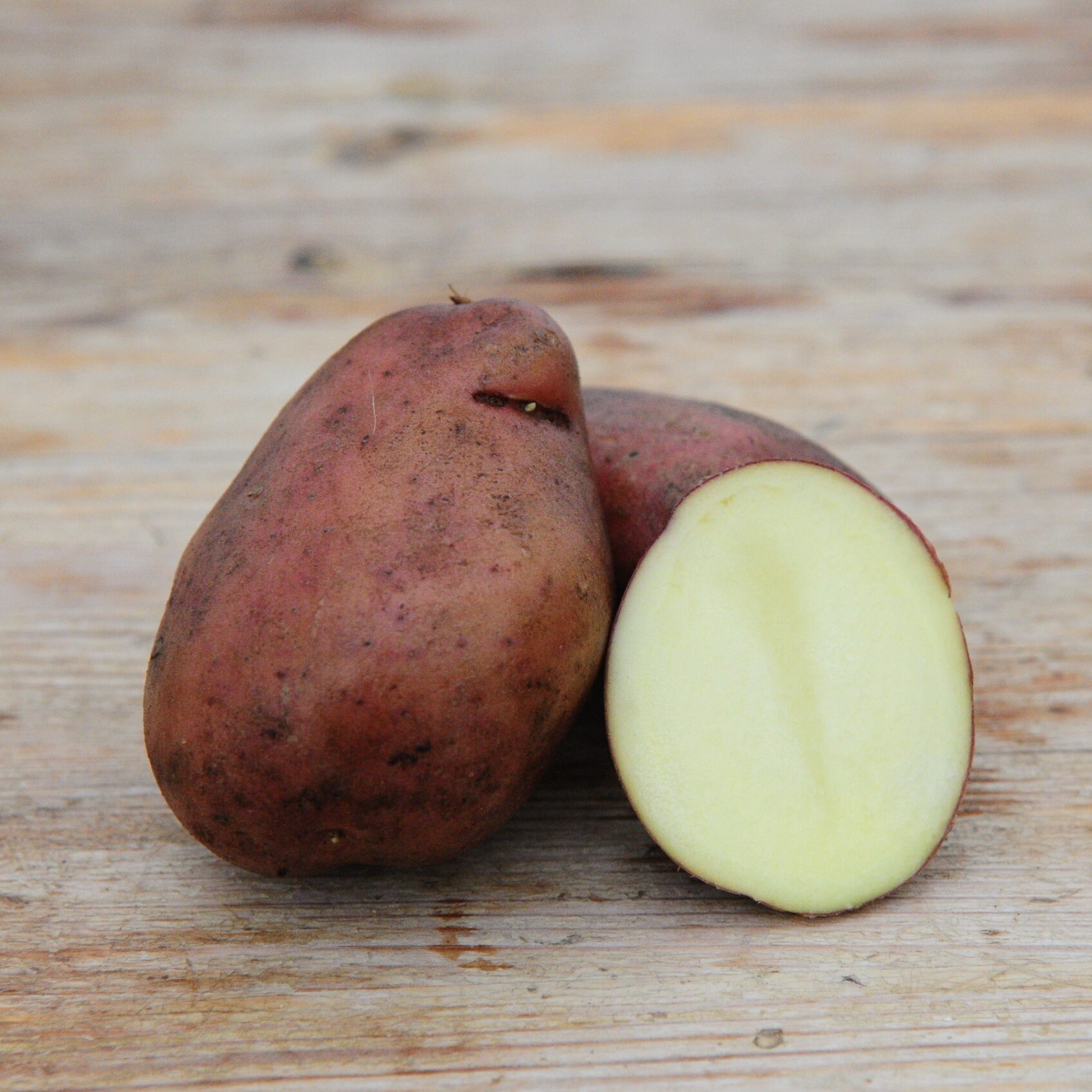 Potatis - Sarpo Mira 1kg