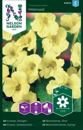 slingerkrasse-milkmaid-1