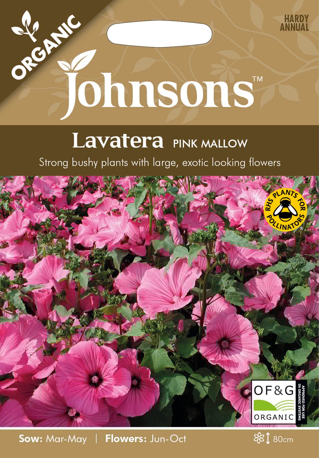 malva-sommar--pink-mallow-organic-1