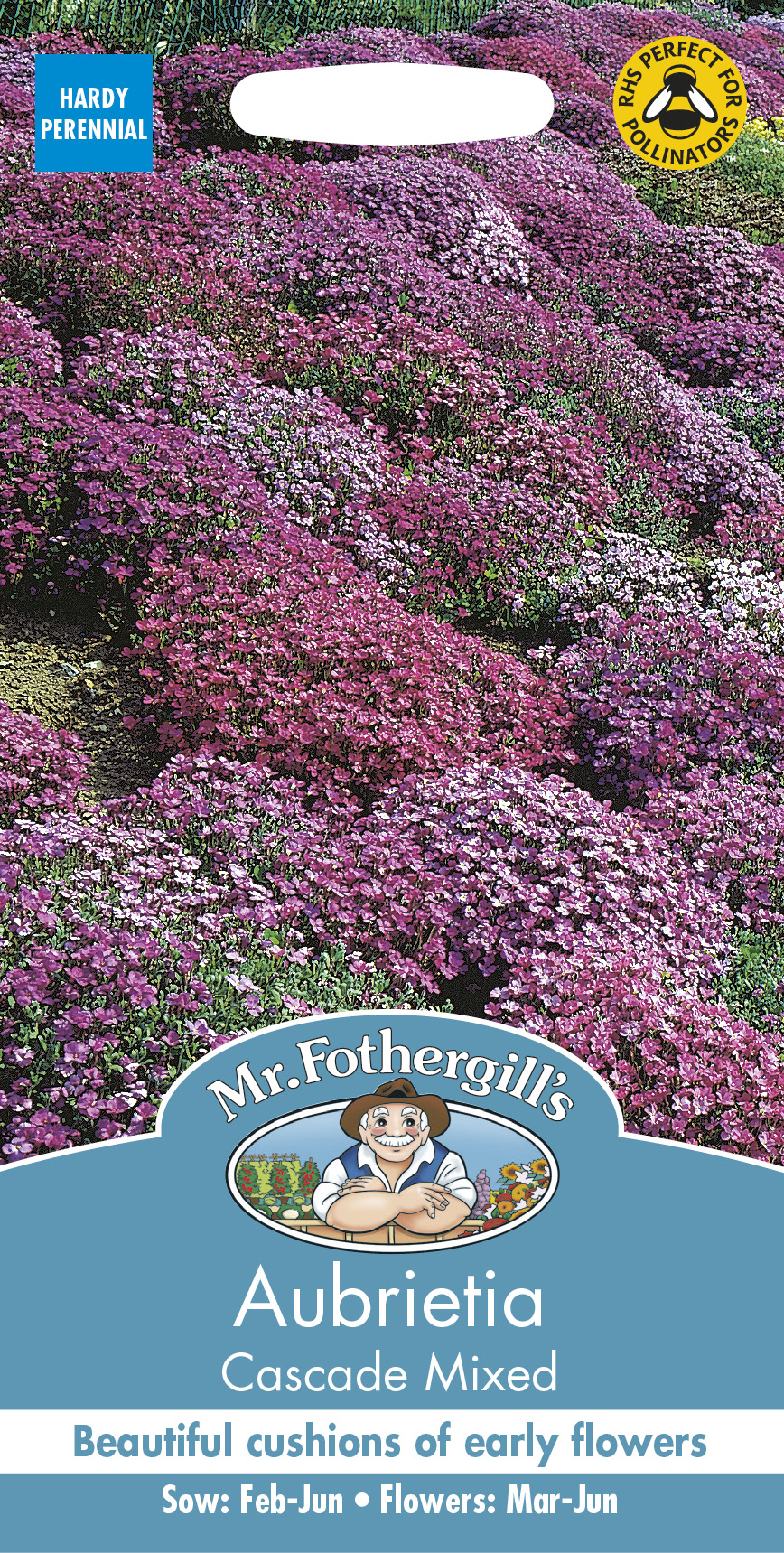 Aubrietia ’Cascade’ mix, frö