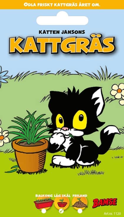 katten-janssons-kattgrs-1st-frpse-1