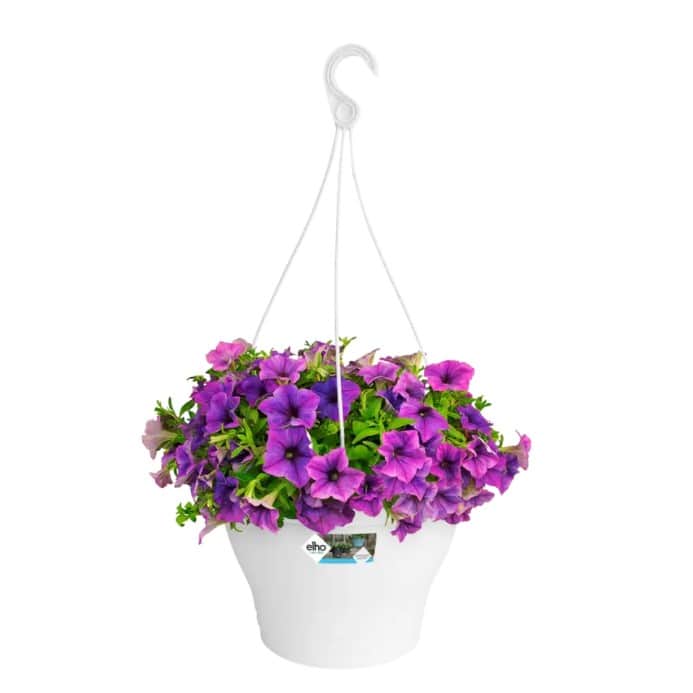 corsica-hanging-basket-30cm---white-2