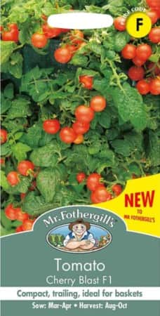 krsbrstomat-cherry-blast-f1-1