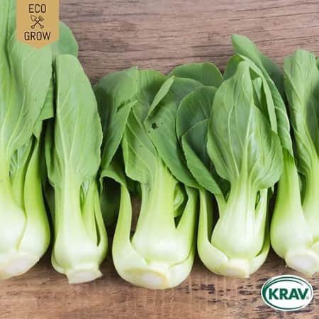 pak-choi-bok-choy-green-krav-mrkt-1
