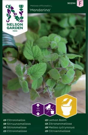 citronmeliss-mandarina-1