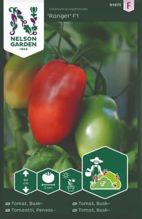 plommontomat-ranger-f1-1