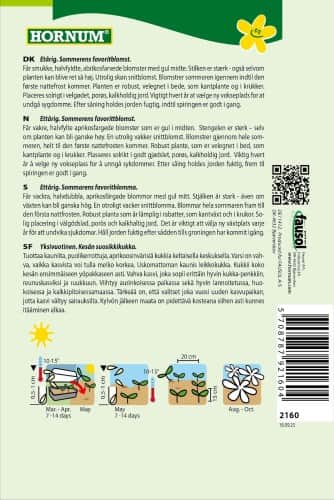 sommaraster-matsumoto-apricot-2