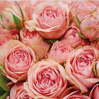 servett-roses-1