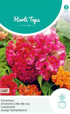 tuppkam-dwarf-cockscomb-mix-1