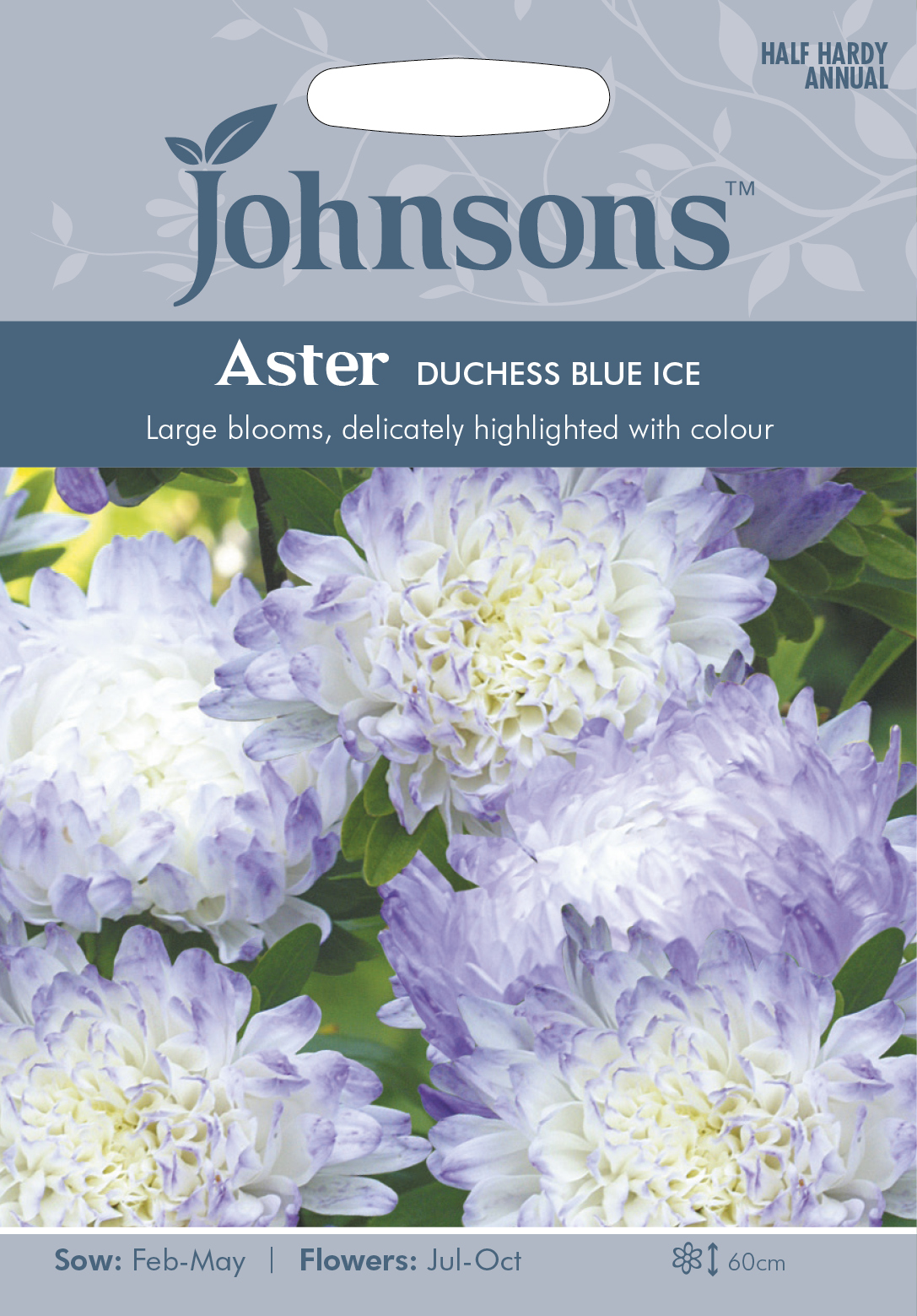 Sommaraster ’Duchess Blue Ice’, frö