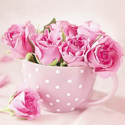 servett-roses-in-cup-1