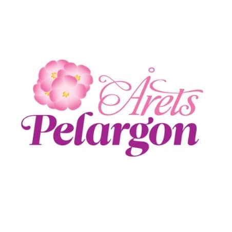 rets-pelargon-2024-zonalpelargon-lavina-12cm-3