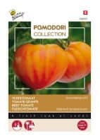 bifftomat-gourmansun-f1-1