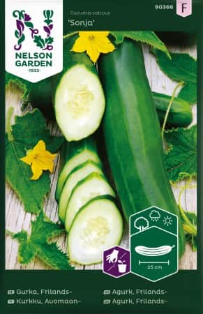 frilandsgurka-sonja-1