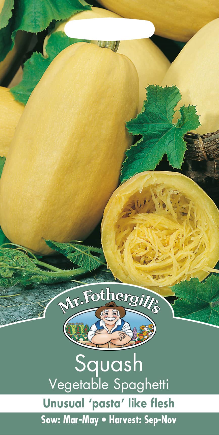 squash-vegetable-spaghetti-1