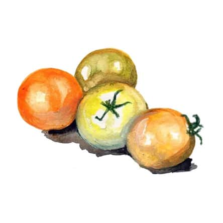 dwarftomat-jochalos-1