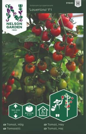 krsbrstomat-lovertino-f1-1