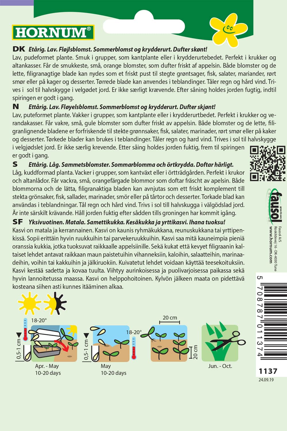 tagetes-liten-apelsintagetes-2