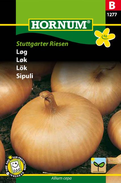 Sättlök ’Stuttgarter Riesen’ frö