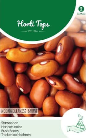 buskbna-brown-dutch-1