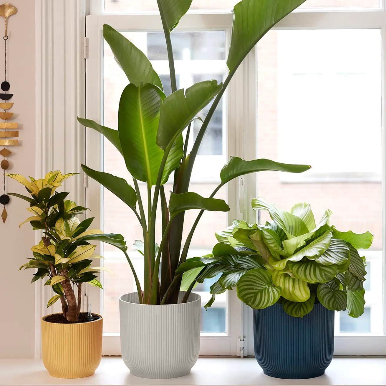 vibes-fold-round-mini-9cm---sorbet-green-3